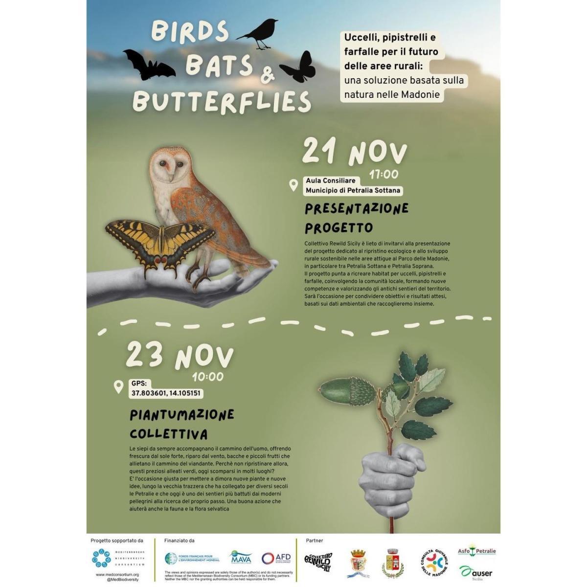 Presentazione progetto "Birds, Bats & Butterflies: una soluzione basata sulla natura nelle Madonie"! (inizio ore 17.00)