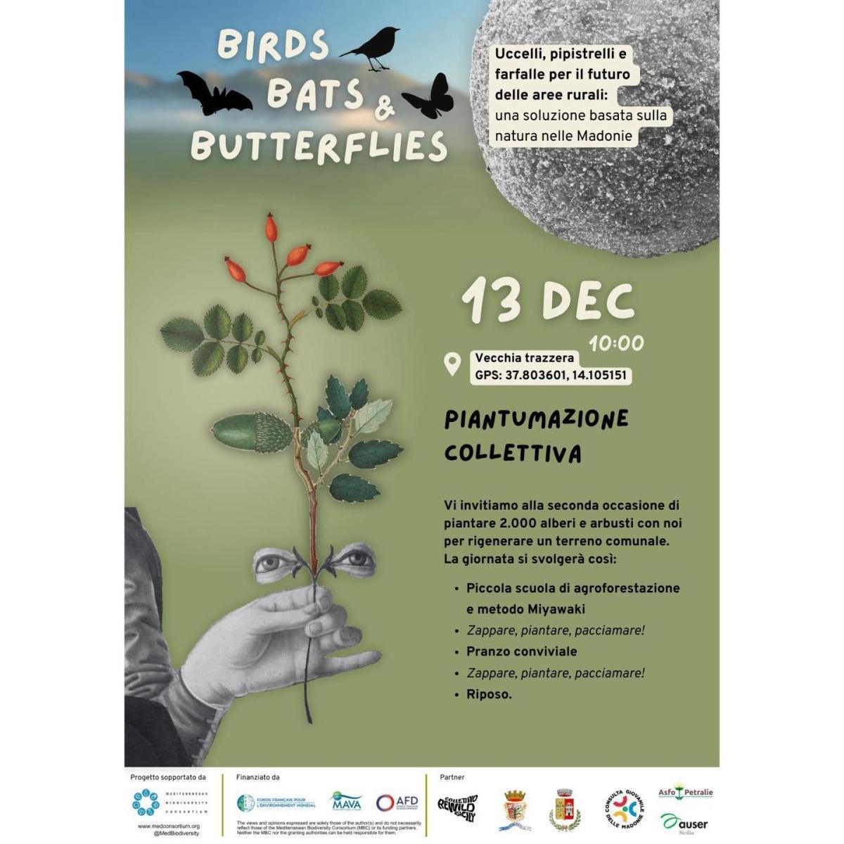 Piantumazione Collettiva (inizio ore 10.00)