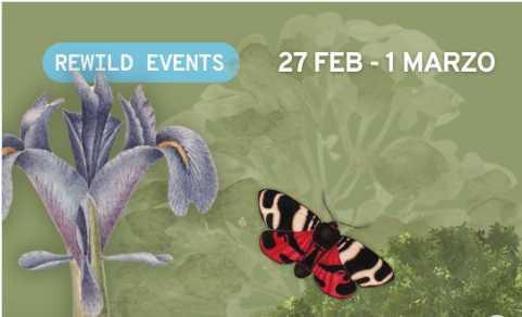 "Bats, Birds and Butterflies" - Seminario "Bats, Birds and Butterflies" - Seminario