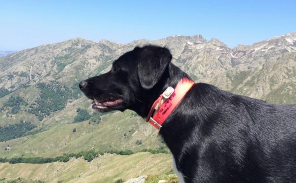 test article panne 15:35