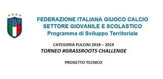 Pulcini 2008 di Mr Luzzatti @ #Grassroots Challenge (FASE 1, Short Story)