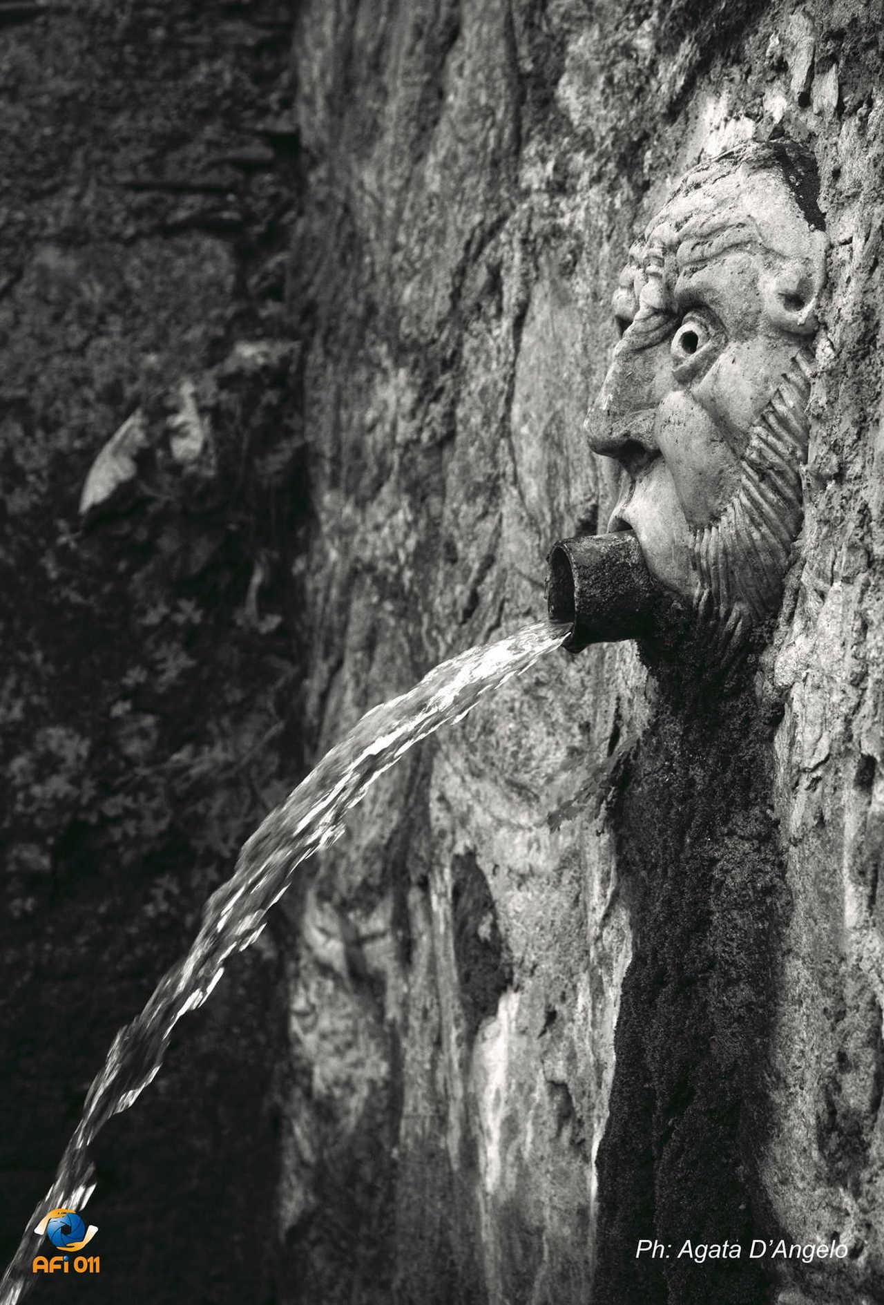 Particolare Fontana dell’ “Acqua dei Pazzi”ad Allume - foto di Agata D'Angelo