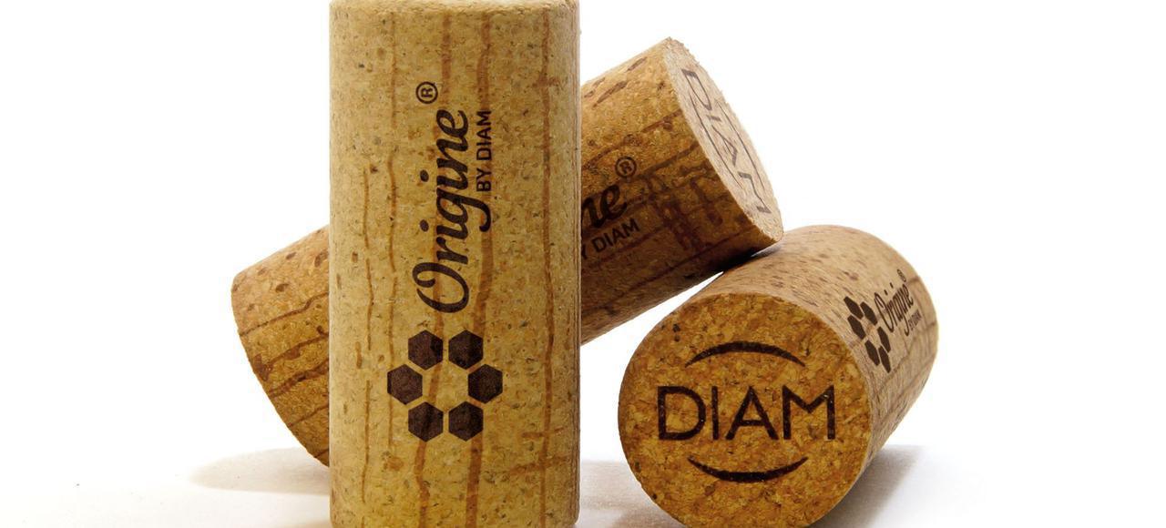 Un nouveau bouchon écologique pour le vin