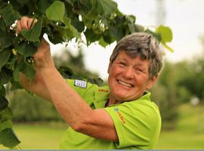 Superfood aus meinem Garten