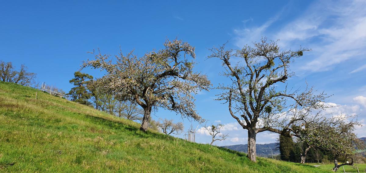 Kleines Video unser Heimat