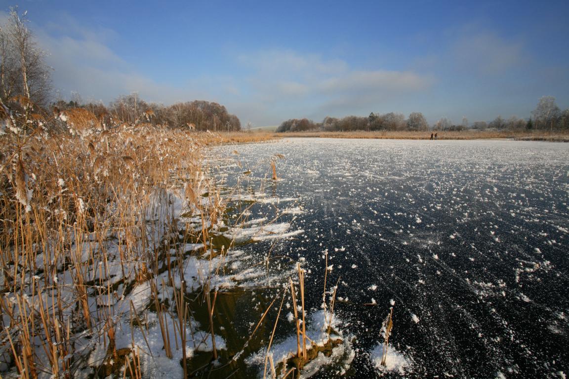 Stockenweiler Weiher