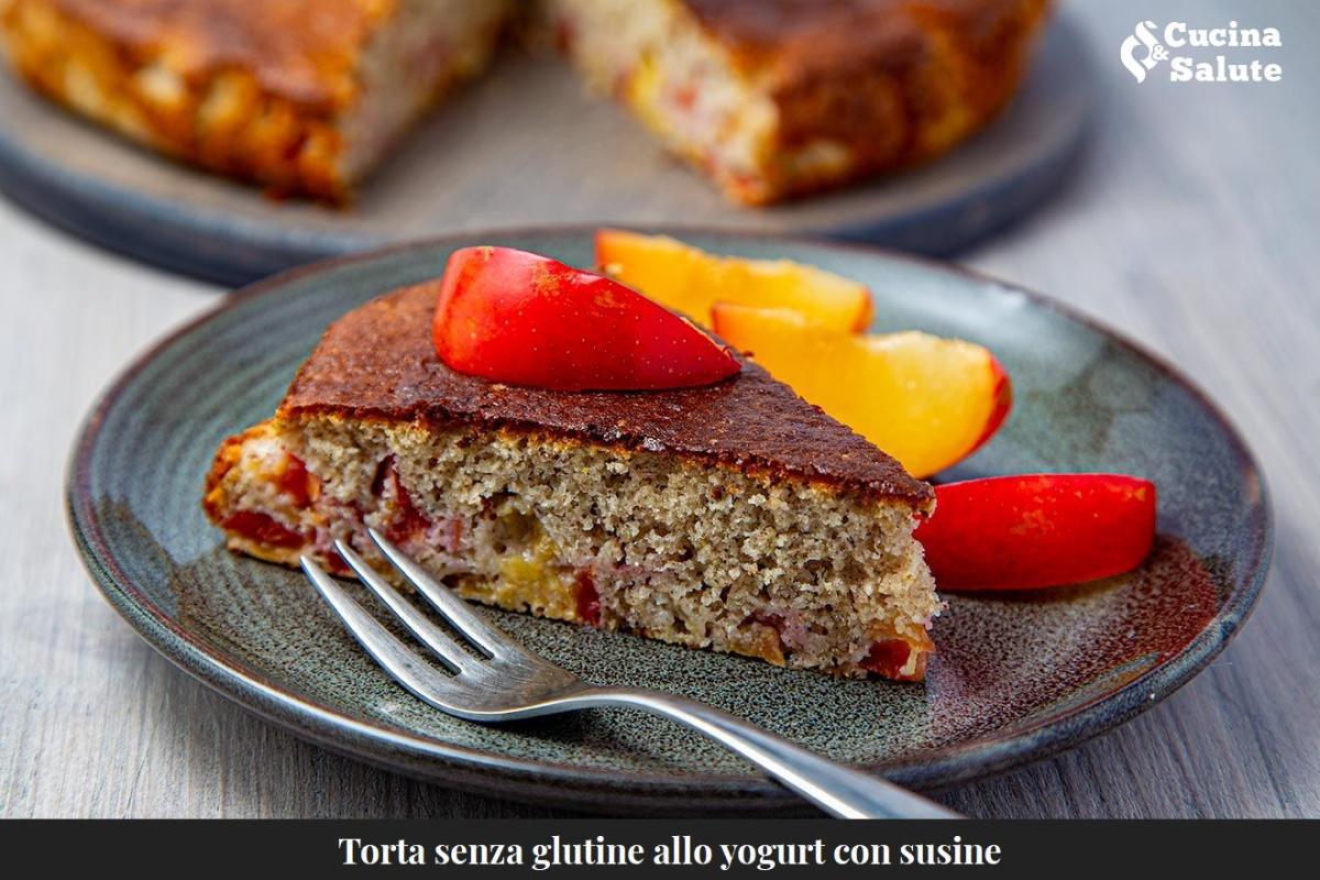 TORTA SENZA GLUTINE CIN YOGURT E SUSINE...
