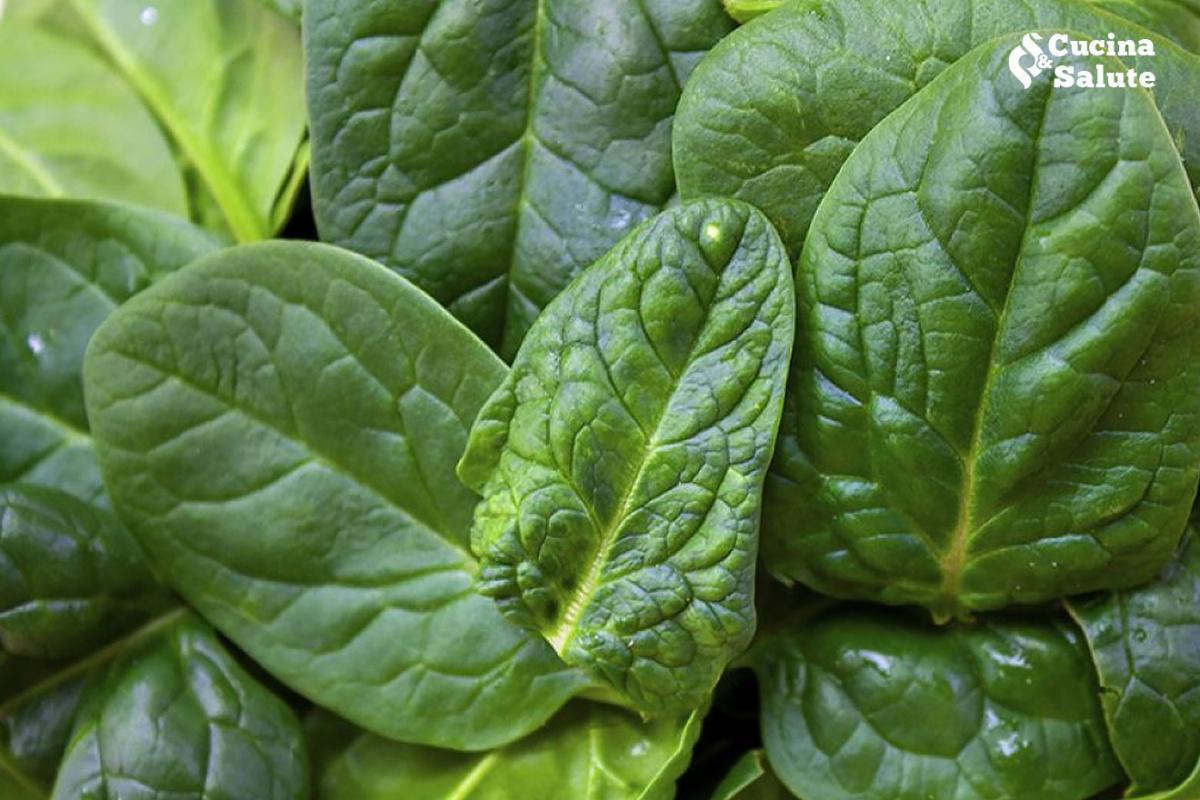 NEWSLETTER MESE MARZO ( DAL 23 AL 28 )