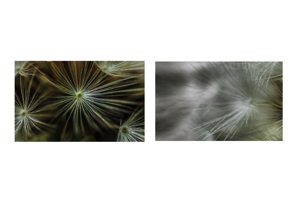 La nostra filosofia La nostra filosofia