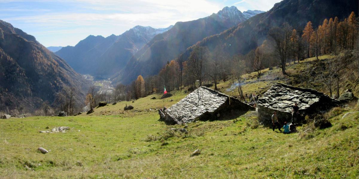 Alagna - Alpe Stofful Inferiore (n° 205F)