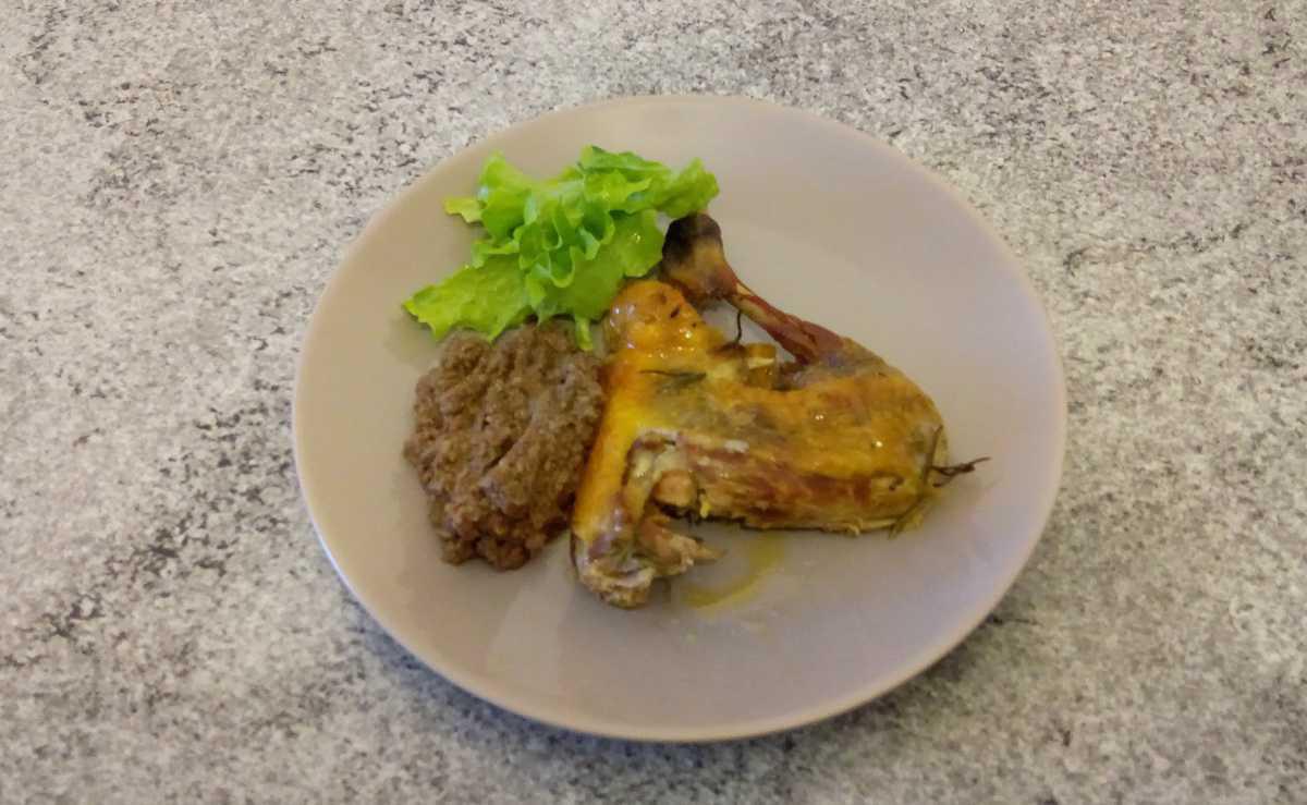 Faraona in "tecia" Faraona in "tecia"