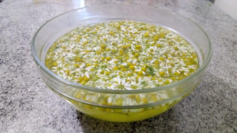 Camomilla naturale Camomilla naturale