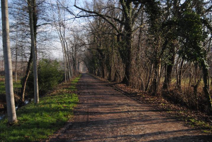 Torreselle | Sorgenti del Sile