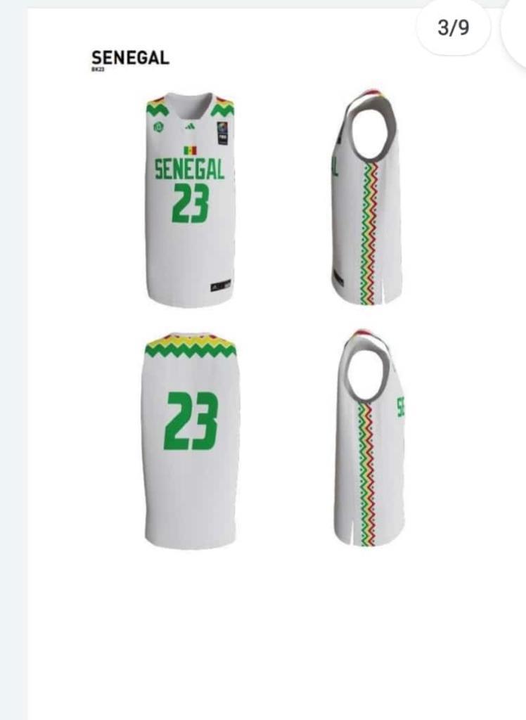 Basketball: Les Lions désormais habillés par Adidas (IMAGES)