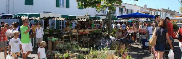 MARCHÉ DE LES PORTES EN RÉ
