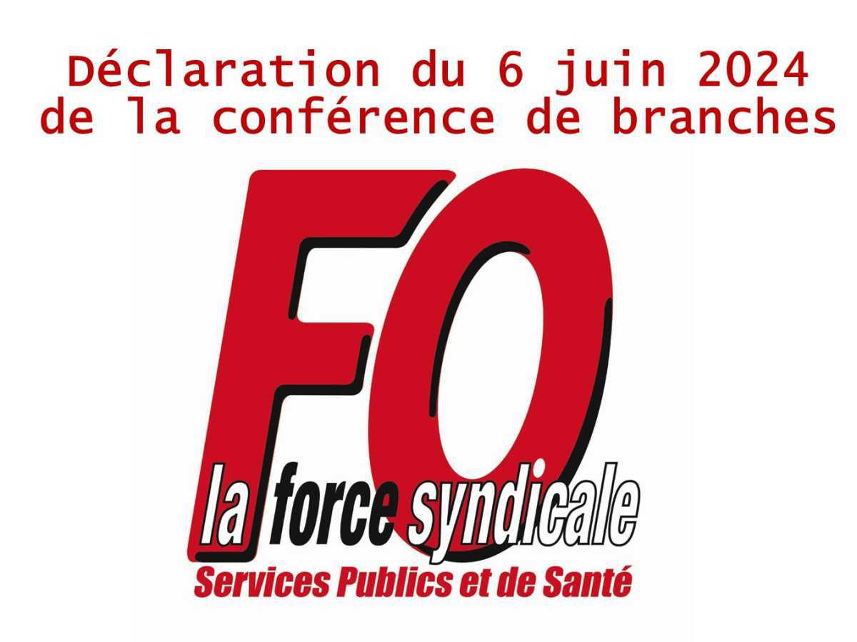 Déclaration de la conférence de branches de la FD FO SPSS adoptée en séance le 6 juin 2024