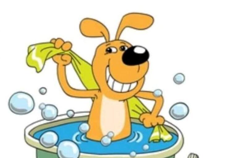 Nuevo convenio con Peluquería Canina