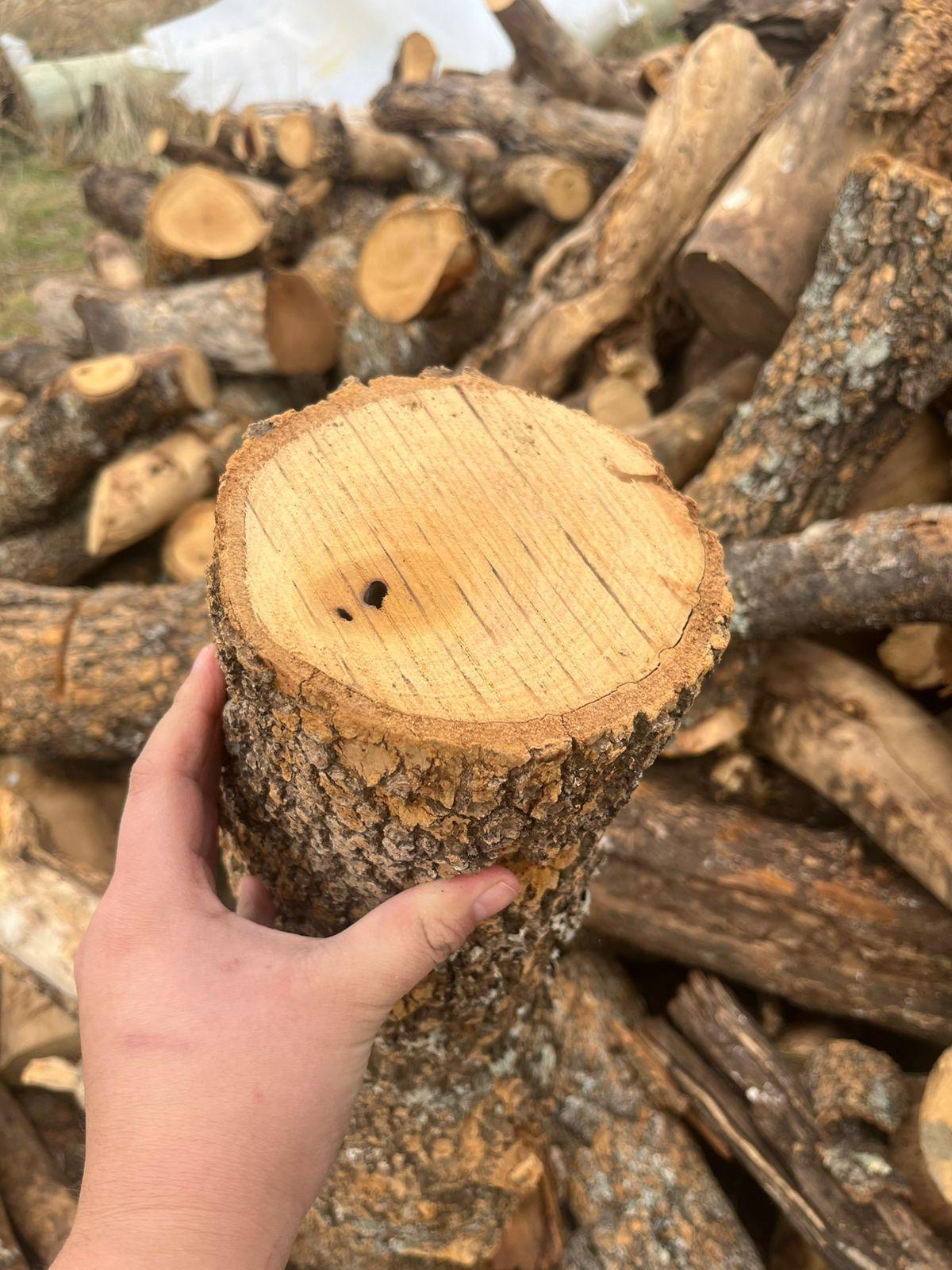 Nuevo convenio con El Cañadón, Leña y Carbón