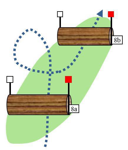 Volte in Kombinationen Volte in Kombinationen