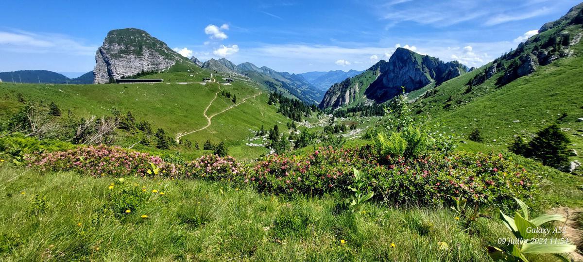 Randonnée au départ du Col de Jaman