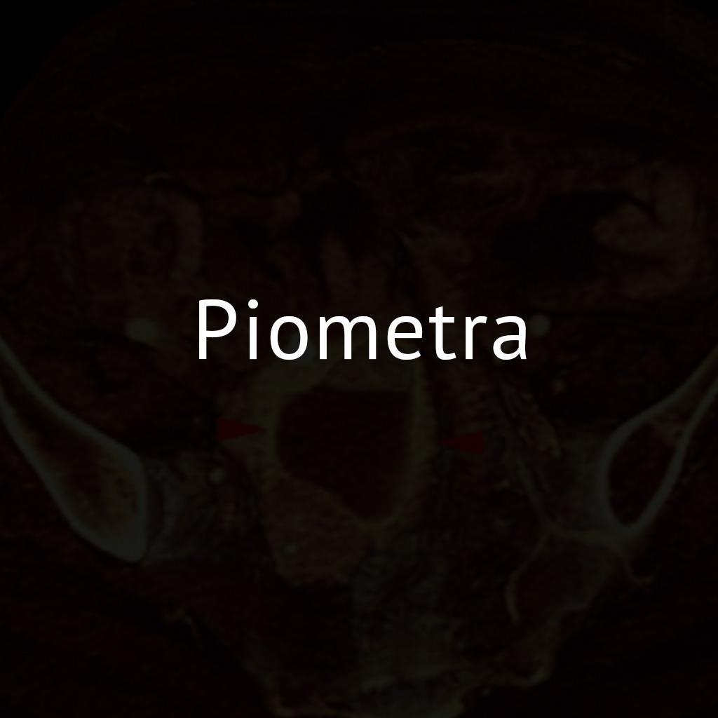 Piometra