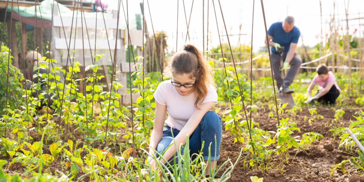 Find the Perfect Summer Volunteer Project