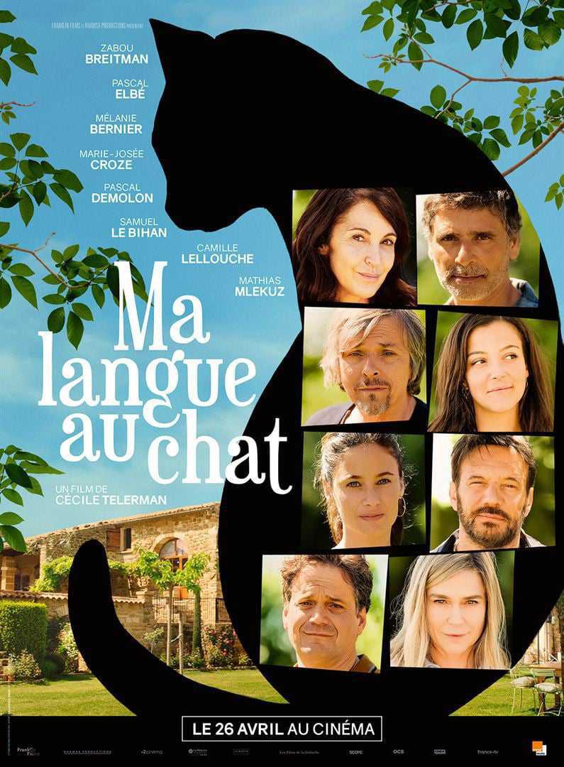 Séances Cinéseniors à Hauteville sur mer