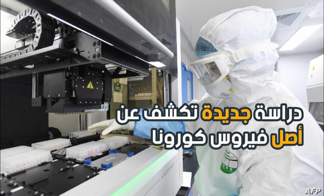 دراسة جديدة تكشف عن أصل فيروس كورونا