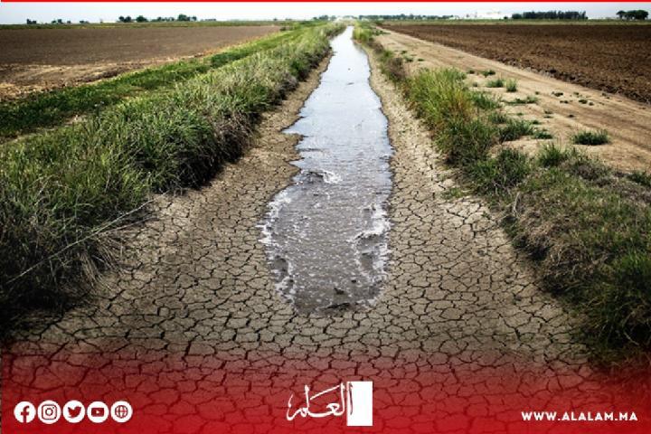 المغرب يعد العدة لمواجهة موجة الجفاف وصعوبات الإمدادات من القمح بأنواعه