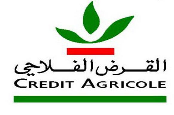 القرض الفلاحي للمغرب يواكب الأنشطة المتعلقة بالاستخدام القانوني للقنب الهندي