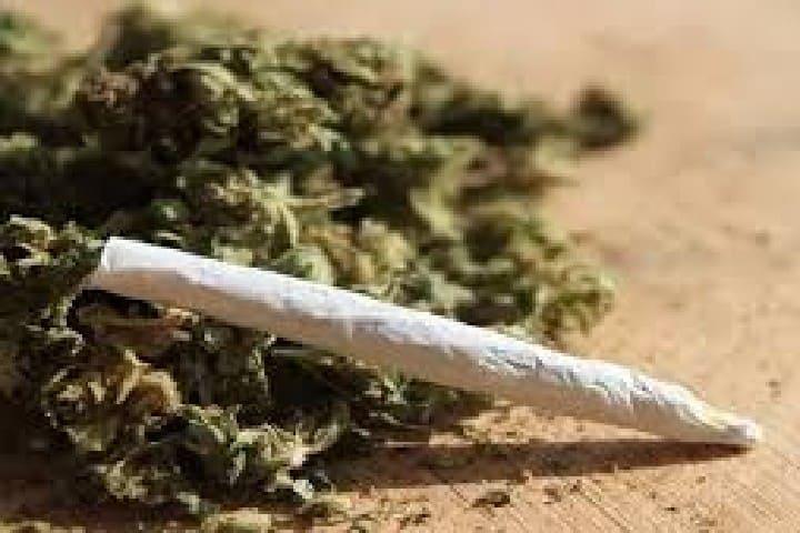 الحسيمة: الدرك يحبط محاولة تهريب دولي للمخدرات