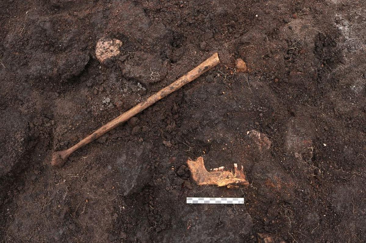 ARCHAEOLOGISTS FIND ‘BOG BODY’ SKELETAL PARTS FROM POSSIBLE SACRIFICE