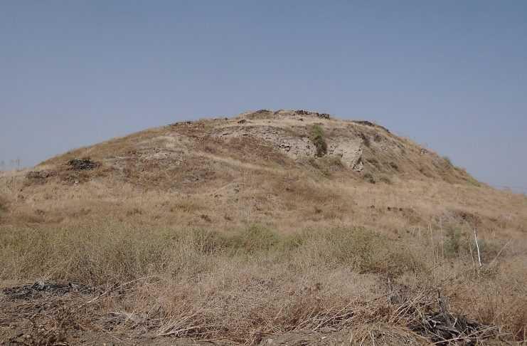 VERTEBRA DISCOVERED IN THE JORDAN VALLEY TELLS THE STORY OF PREHISTORIC MIGRATION FROM AFRICA