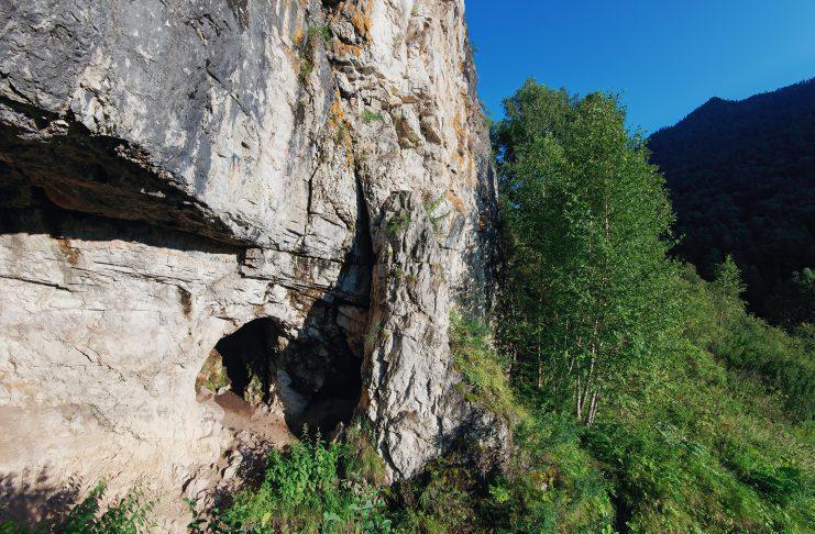 ANCIENT GENOMES OF THIRTEEN NEANDERTALS PROVIDE A RARE SNAPSHOT OF THEIR COMMUNITY AND SOCIAL ORGANISATION ANCIENT GENOMES OF THIRTEEN NEANDERTALS PROVIDE A RARE SNAPSHOT OF THEIR COMMUNITY AND SOCIAL ORGANISATION