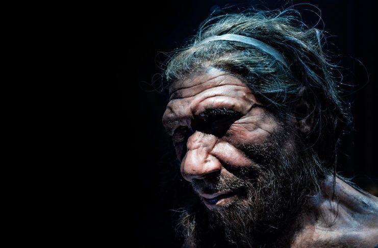 WHO WERE THE NEANDERTHALS AND DENISOVANS? WHO WERE THE NEANDERTHALS AND DENISOVANS?