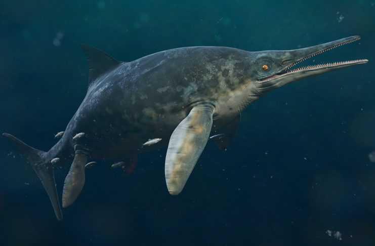 RUTLAND SEA DRAGON IS ONE OF BRITAIN’S GREATEST PALAEONTOLOGICAL DISCOVERIES RUTLAND SEA DRAGON IS ONE OF BRITAIN’S GREATEST PALAEONTOLOGICAL DISCOVERIES