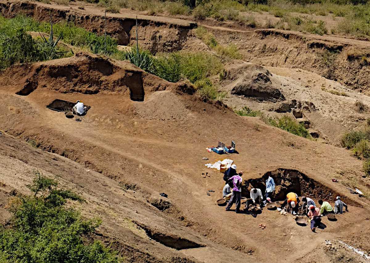 2.9-million-year-old butchery site offers window into the dawn of stone age technology