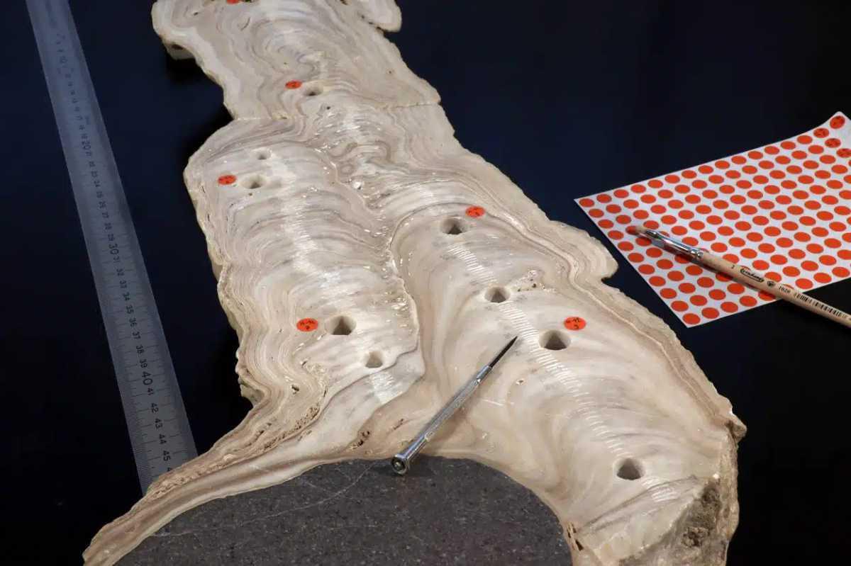 DROUGHTS IN THE SIXTH CENTURY PAVED THE WAY FOR ISLAM DROUGHTS IN THE SIXTH CENTURY PAVED THE WAY FOR ISLAM