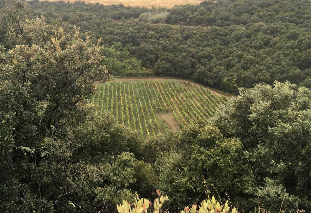 METEORITE CRATER FOUND IN SOUTHERN FRANCE