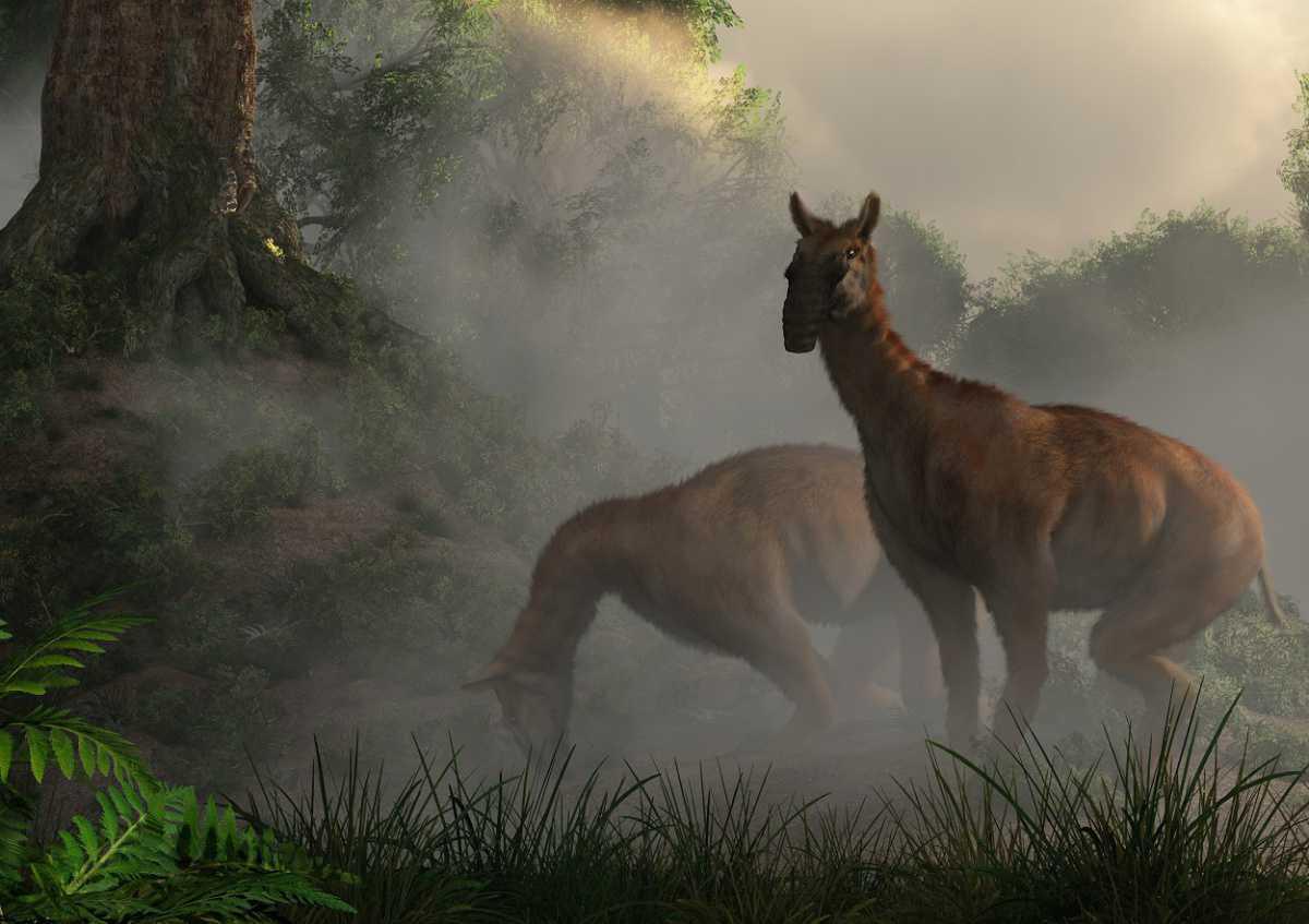 SUBMERGED PREHISTORIC SITE DISCOVERED WITH REMAINS OF EXTINCT SPECIES SUBMERGED PREHISTORIC SITE DISCOVERED WITH REMAINS OF EXTINCT SPECIES