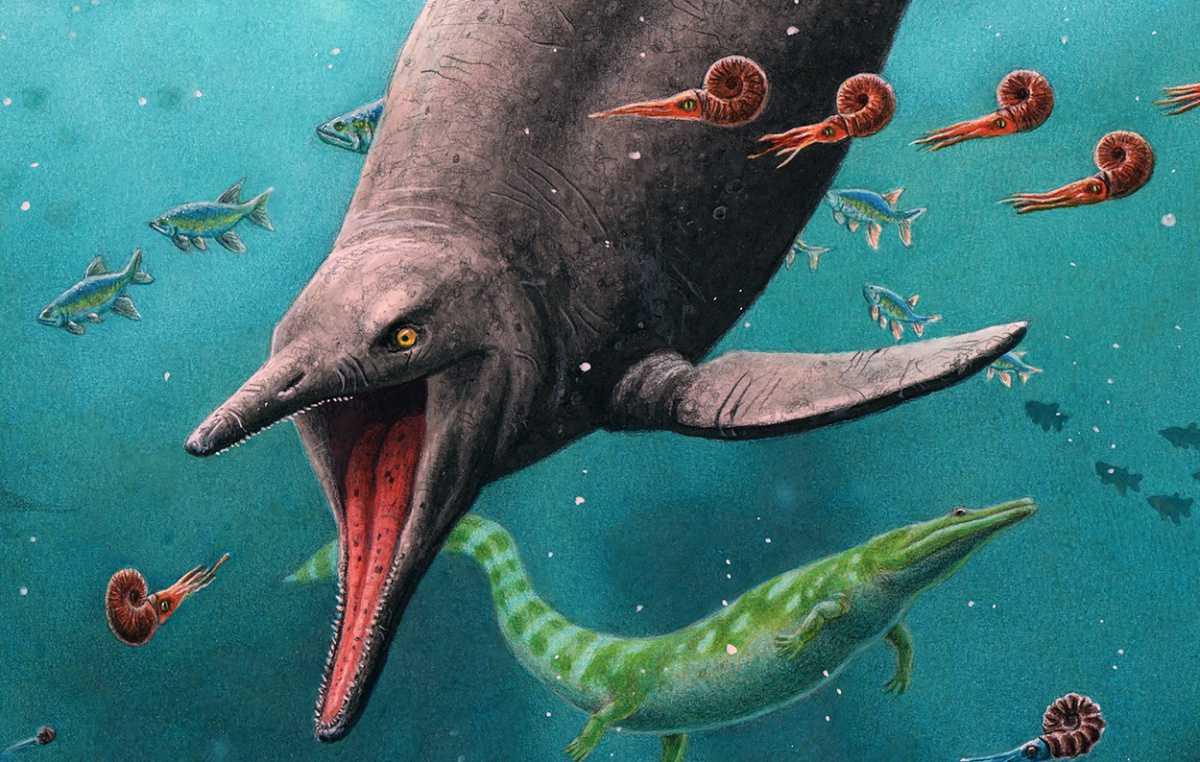 Ichthyosaur Found on Remote Artic Island Upends Previous Evolutionary Theory
