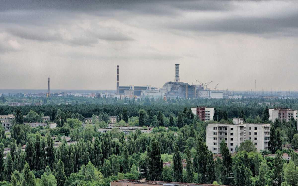 STUDY AT CHERNOBYL GIVES NEW INSIGHTS INTO SURVIVING IN CONTAMINATED ENVIRONMENTS STUDY AT CHERNOBYL GIVES NEW INSIGHTS INTO SURVIVING IN CONTAMINATED ENVIRONMENTS