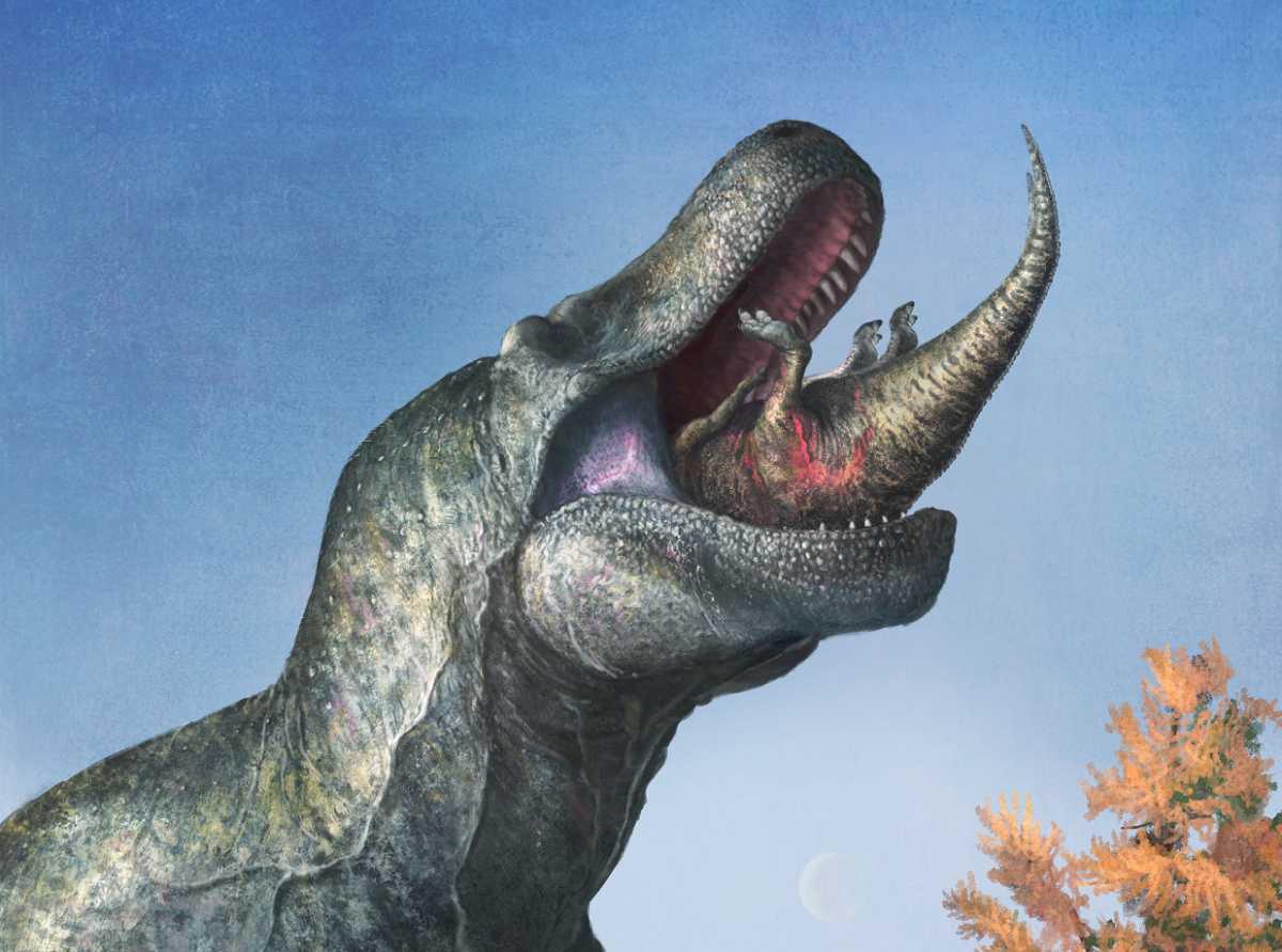 Predatory Dinosaurs Such as T. Rex Sported Lizard-like Lips