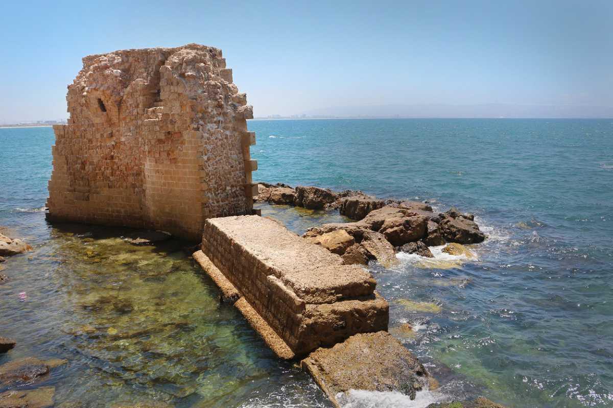 HERITAGEDAILY JOINS THE CLIMATE HERITAGE NETWORK HERITAGEDAILY JOINS THE CLIMATE HERITAGE NETWORK