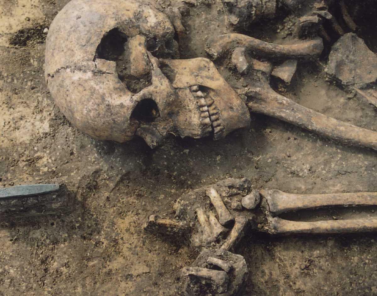 STUDY ESTABLISHES CONNECTION BETWEEN THE CULTURAL AND GENETIC EVOLUTION OF EARLY EUROPEANS STUDY ESTABLISHES CONNECTION BETWEEN THE CULTURAL AND GENETIC EVOLUTION OF EARLY EUROPEANS