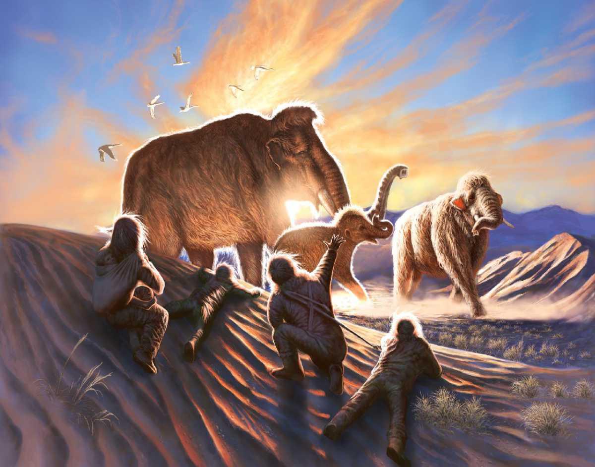 Travels of a 14,000-year-old woolly mammoth tied to earliest Alaska hunting camps Travels of a 14,000-year-old woolly mammoth tied to earliest Alaska hunting camps