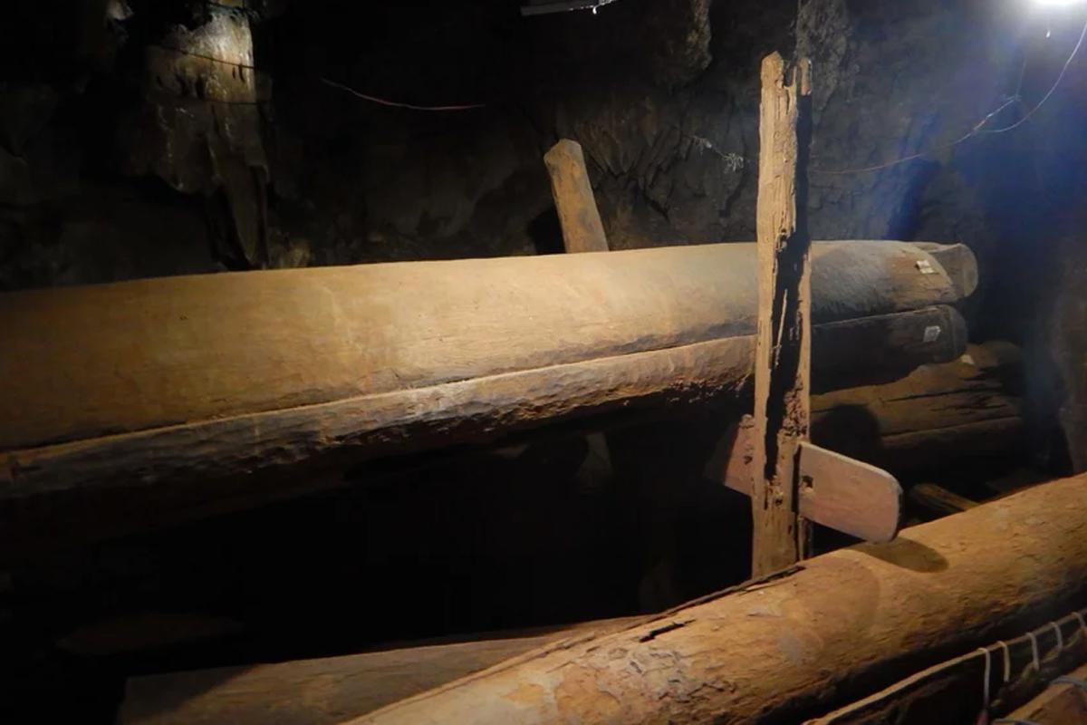 Ancient DNA reveals new insights into prehistoric Log Coffin culture Ancient DNA reveals new insights into prehistoric Log Coffin culture