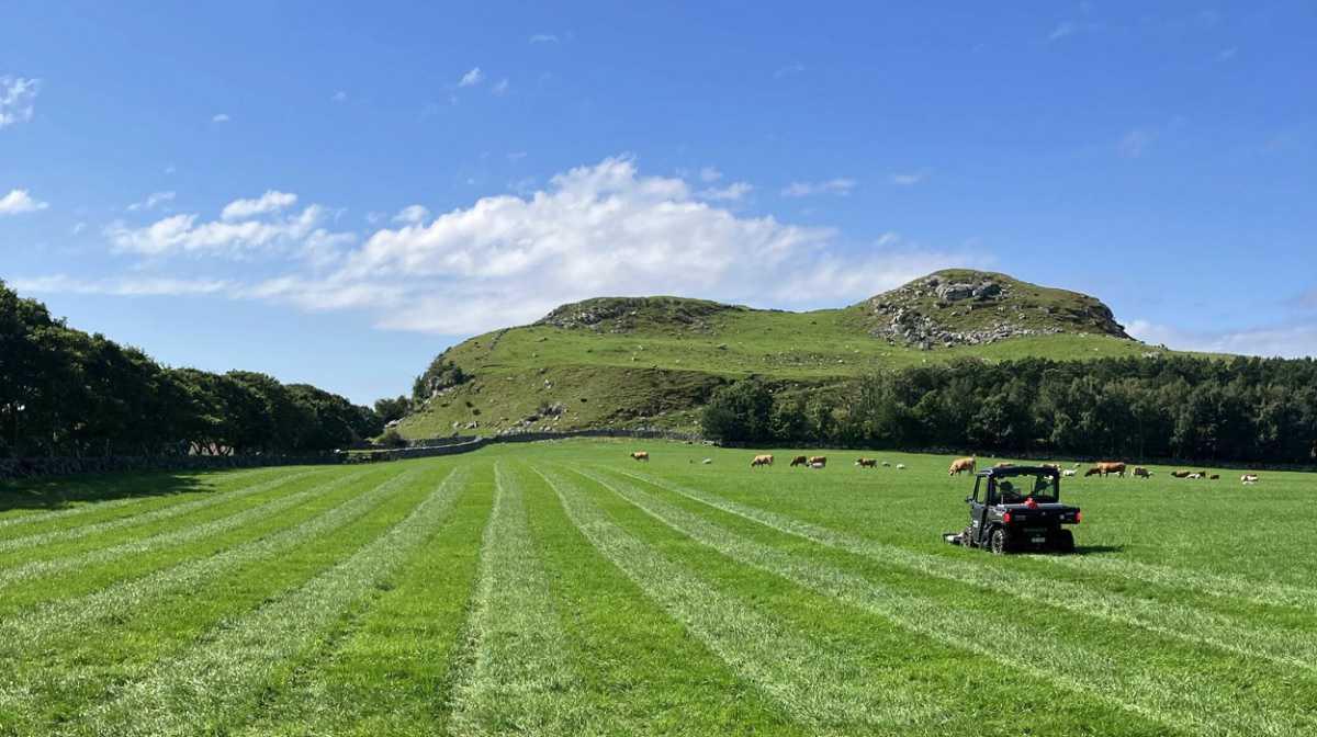 Traces of marketplace from Viking Age found on Klosterøy Traces of marketplace from Viking Age found on Klosterøy
