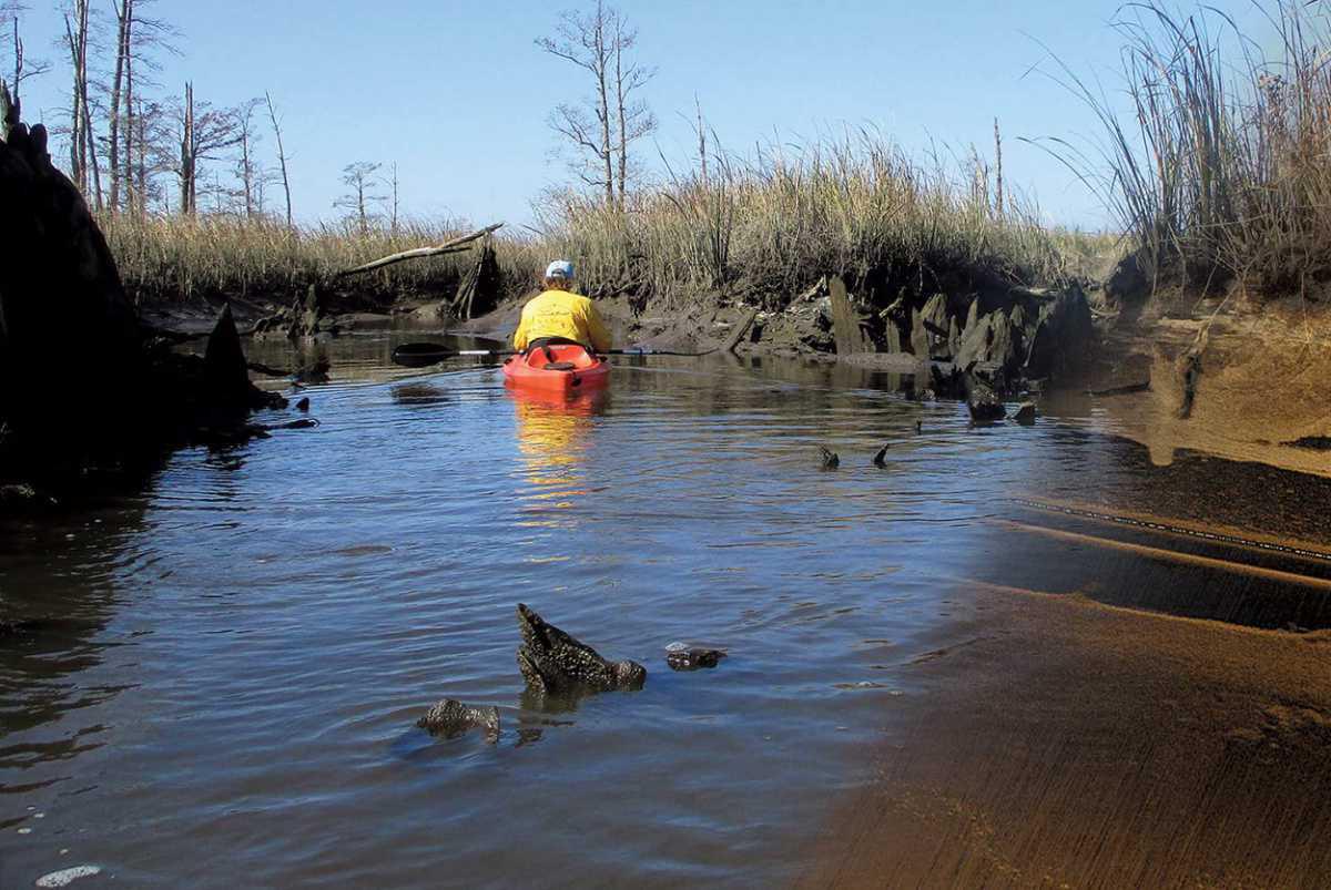 Submerged evidence of rice cultivation and slavery found in North Carolina Submerged evidence of rice cultivation and slavery found in North Carolina