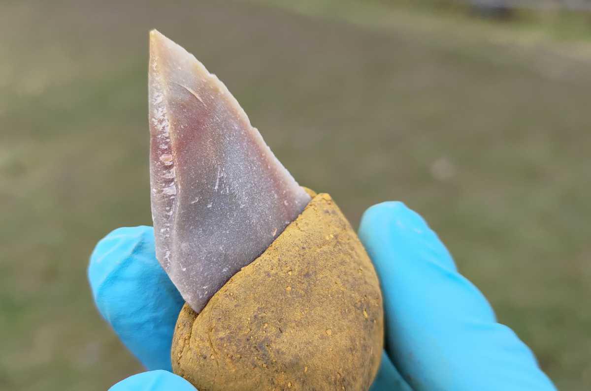 Neanderthals created stone tools held together by a multi-component adhesive